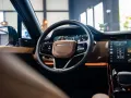 Land Rover Range Rover Sport D250 S AWD - luftfederung - 36