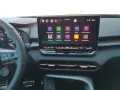 Cupra Terramar VZ 2.0 TSI DSG 4Drive ACC/AHK/RFK/5J.GA