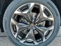 Cupra Terramar VZ 2.0 TSI DSG 4Drive ACC/AHK/RFK/5J.GA