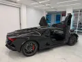 Other Lamborghini Revuelto Carbon