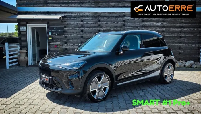 Other Smart #1 Pro+
