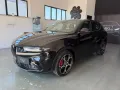 Other Alfa Romeo Tonale 1.6 diesel 130 CV Sprint - 202