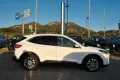 Ford Kuga 1.5 EcoBlue 120 CV 2WD Titanium