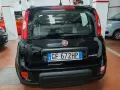 Fiat Panda vari anni 2013/24 VARI MODELLI LEGGI 