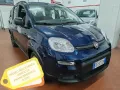 Fiat Panda vari anni 2013/24 VARI MODELLI LEGGI 