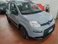 Fiat Panda vari anni 2013/24 VARI MODELLI LEGGI 