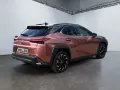 Lexus UX 300h 300 h F-Sport Design *CarPlay*SHZ*ACC*