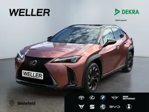 Lexus UX 300h 300 h F-Sport Design *CarPlay*SHZ*ACC*