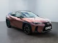 Lexus UX 300h 300 h F-Sport Design *CarPlay*SHZ*ACC*