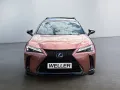 Lexus UX 300h 300 h F-Sport Design *CarPlay*SHZ*ACC*