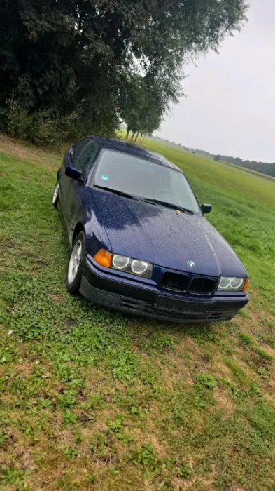 BMW Bmw e36 316i TÜV Neu