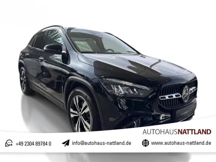 Mercedes-Benz GLA 220 4Matic Progressive RFK Leder Distronic