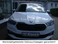 Skoda Fabia Selection 5J/100 TKM Garantie