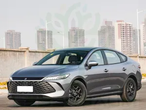 BYD Other - Qin Plus 55 DMI - LEADER