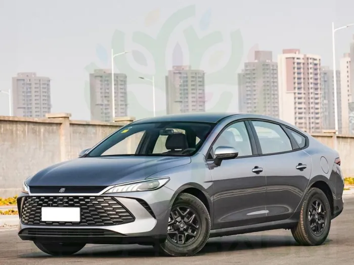 BYD Other - Qin Plus 55 DMI - LEADER