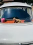 Trabant 601