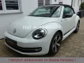 Volkswagen Beetle 1.2TSI Allstar Plus Xenon Leder Fender