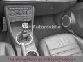 Volkswagen Beetle 1.2TSI Allstar Plus Xenon Leder Fender