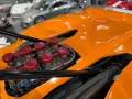 McLaren *Elva M1B*