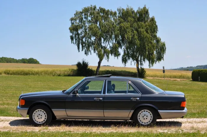 Mercedes-Benz  300 SE Gas