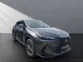 Lexus NX 350h h 243PS Sitzklima Connect, 360°