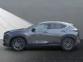 Lexus NX 350h h 243PS Sitzklima Connect, 360°