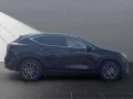 Lexus NX 350h h 243 PS Executive Inter ieur Paket + Te