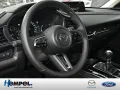 Mazda CX-30 2.0L e-SKYACTIV X ACC HUD MATRIX-LED 360°