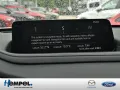 Mazda CX-30 2.0L e-SKYACTIV X ACC HUD MATRIX-LED 360°