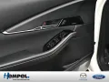 Mazda CX-30 2.0L e-SKYACTIV X ACC HUD MATRIX-LED 360°