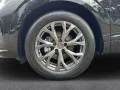 Cupra Terramar eTSI 1.5 TSI DSG AHK eHK SHZ e-Sitze