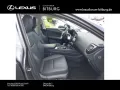 Lexus NX 350 Business
