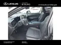 Lexus NX 350 Business