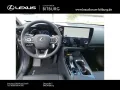 Lexus NX 350 Business