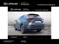 Lexus NX 350 Business