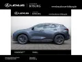 Lexus NX 350 Business