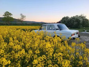 Lada lada 2106 H Tüv 1300sl