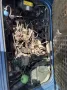 Volkswagen T3 Bluestar 2.1 WBX