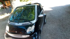 Smart smart forto