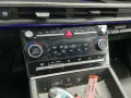 Hyundai Santa Fe Plug-In BlackLine 7-Sitzer Leder 4WD 