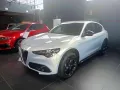 Alfa Romeo ALFA ROMEO Stelvio 2.2 Turbodiesel 210 CV AT8 Q4