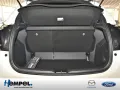 Mazda 2 Hybrid 1.5 Homura KAMERA ACC AID FACEL. LED