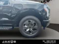 Ford F 150 Lightning Lariat 510A - German homologa...
