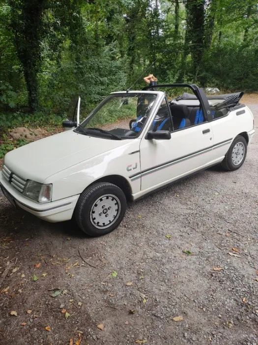 Peugeot 205 Auto Forever Forever