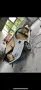 BMW E39 540i V8  6-Gang-Handschalter 1 vo...