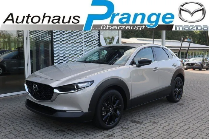 Mazda CX-30 M-Hybrid G-140 Homura *Sofort* NAVI ACAA S