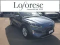 Ford FORD Kuga 1.5 EcoBlue 120 CV aut. 2WD Titanium B