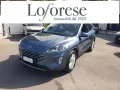 Ford FORD Kuga 1.5 EcoBlue 120 CV aut. 2WD Titanium B