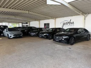 Mercedes-Benz E 220 d 4Matic  AMG PremiumPlus/Superscreen/21