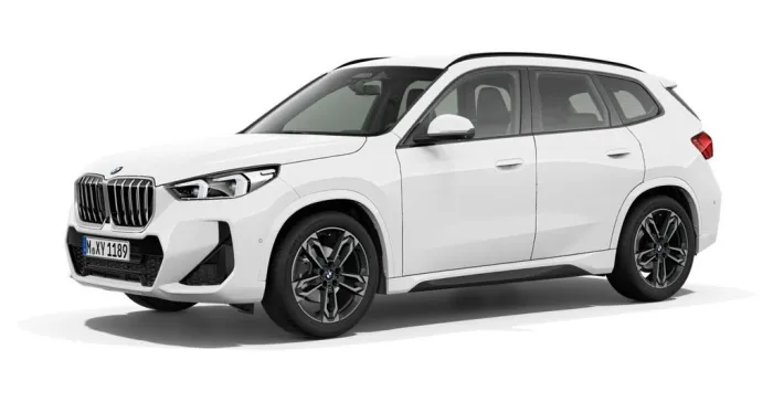 BMW X1 sDrive20i M Sportpaket *HUD.LC-Prof..AHK*